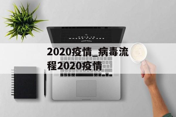 2020疫情_病毒流程2020疫情