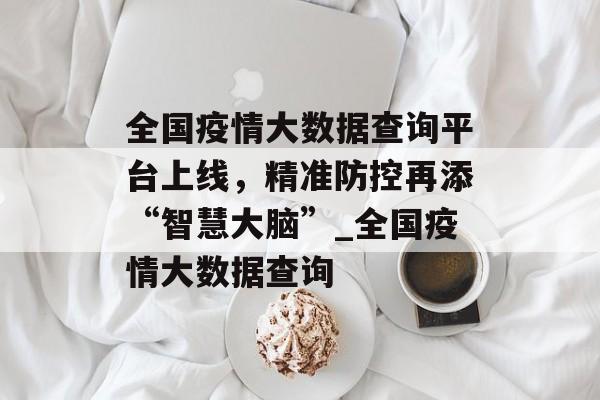 全国疫情大数据查询平台上线，精准防控再添“智慧大脑”_全国疫情大数据查询